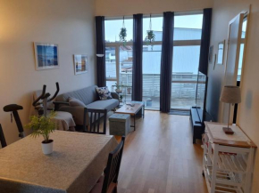 Modern spacious apartment, with private balcony